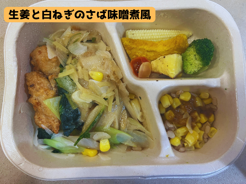 GREEN SPOON 生姜と白ネギのさば味噌煮風